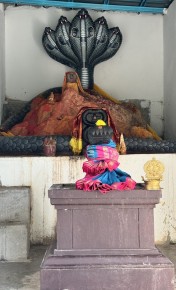 Sri Naga Kaliamman Temple