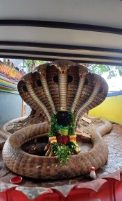 ohm Sakthi Shree Naga Nageswary Amman Alayam