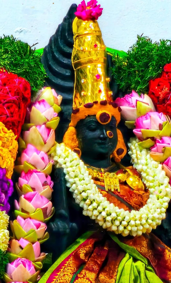 Arulmigu Rasah Sri Maha Mariam...