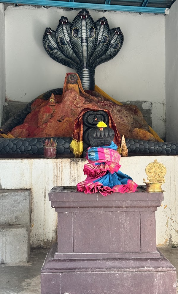 Sri Naga Kaliamman Temple
